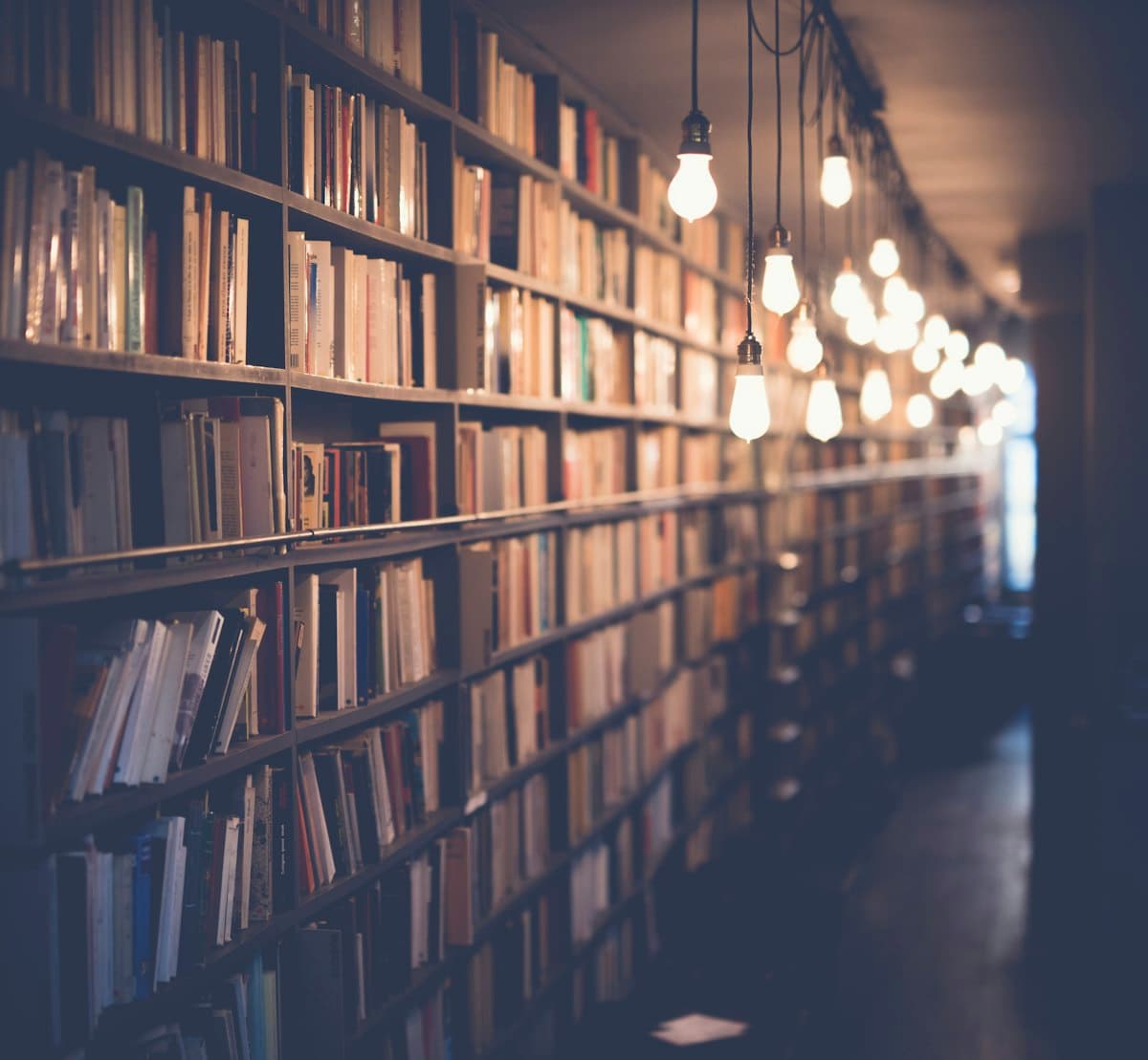 Estanterías con libros en un ambiente cálido