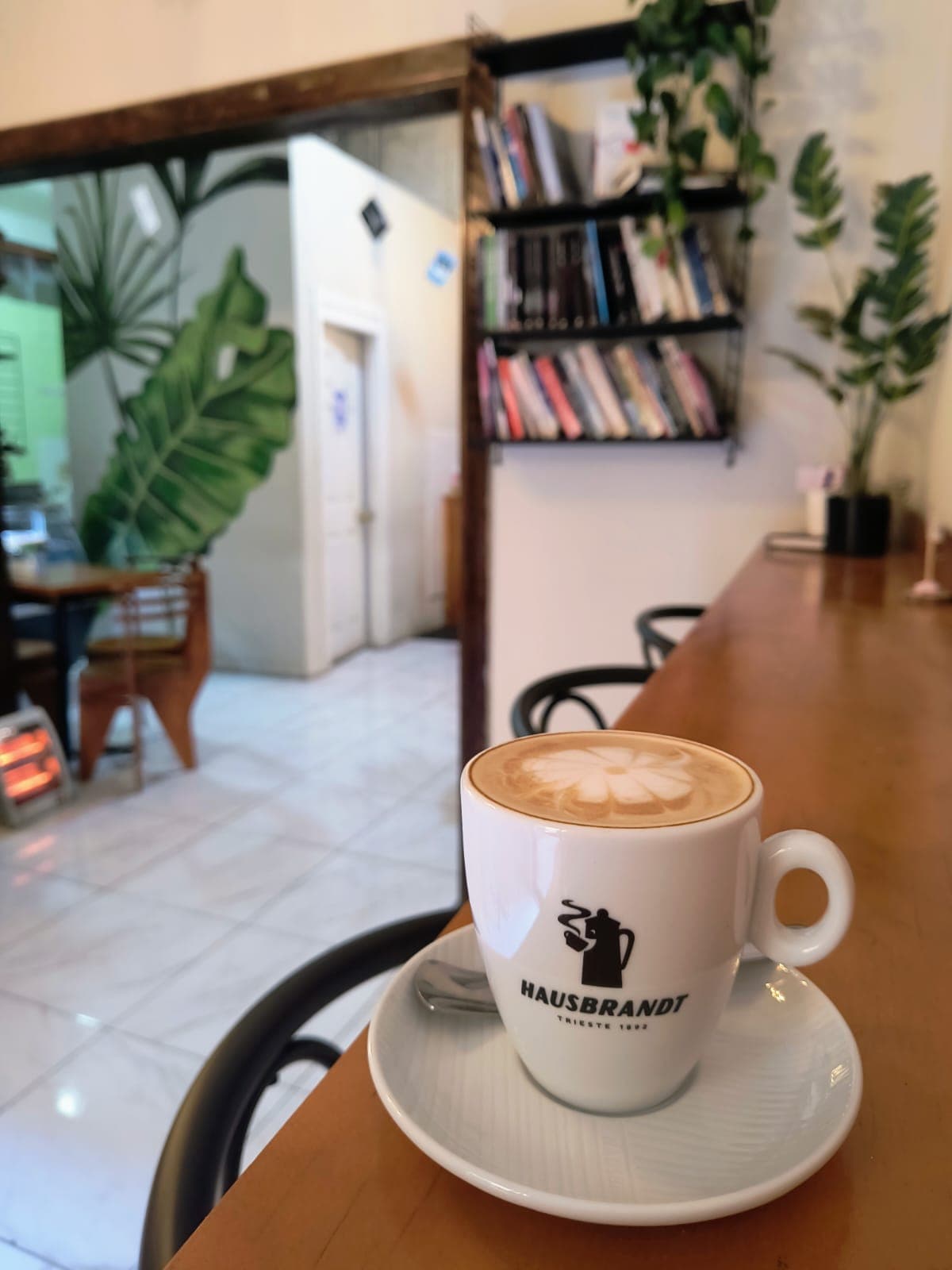 Capuchino con arte latte sobre la barra, frente al librero